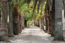 Estoi