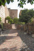 Alcazaba de Malaga