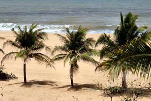 Negombo - Hotel Browns Beach