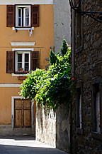 Muggia