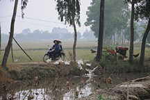 Moped