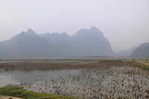 Van Long Teich