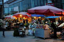 Blumengrossmarkt Quang Ba