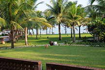 Palm Garden Resort
