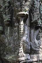 Ta Prohm, Schlange