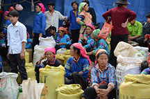 Bac Ha Markt