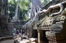 Ta Prohm, Wrgefeigen