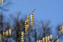 Botanischer Garten