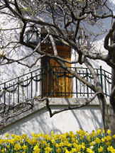 vor der Stadtgartendirektion