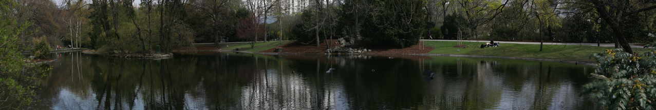 Teich im Stadtpark